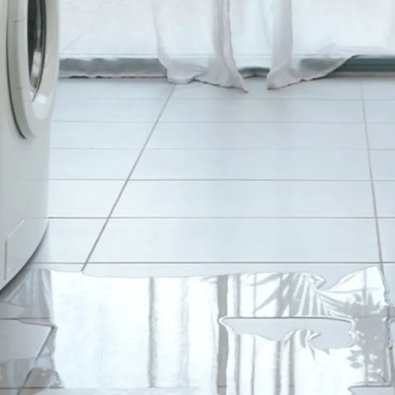 Appliance Leak Cleanup in Chambers County, TX