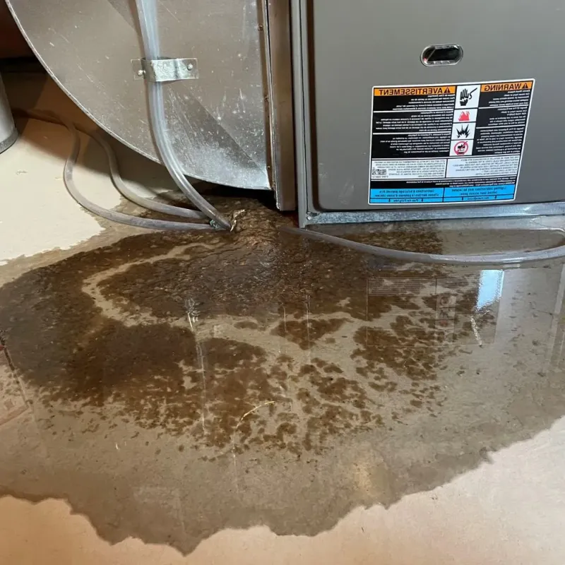 Pipe Burst and Leak Restoration in Chambers County, TX