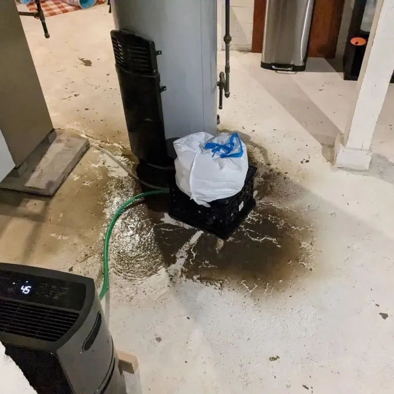 Sewage Backup Cleanup Service in Chambers County, TX